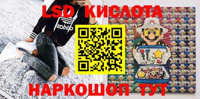 сатива Славгород