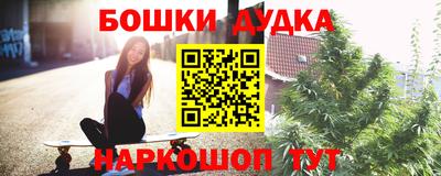 шишки Ставрополь