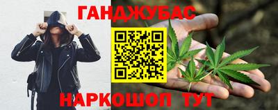 сатива Славгород