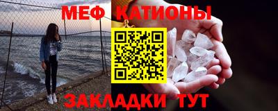 шишки Ставрополь