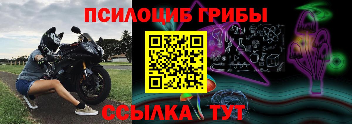 Псилоцибиновые грибы Psilocybe  Вход с VPN  Нальчик 